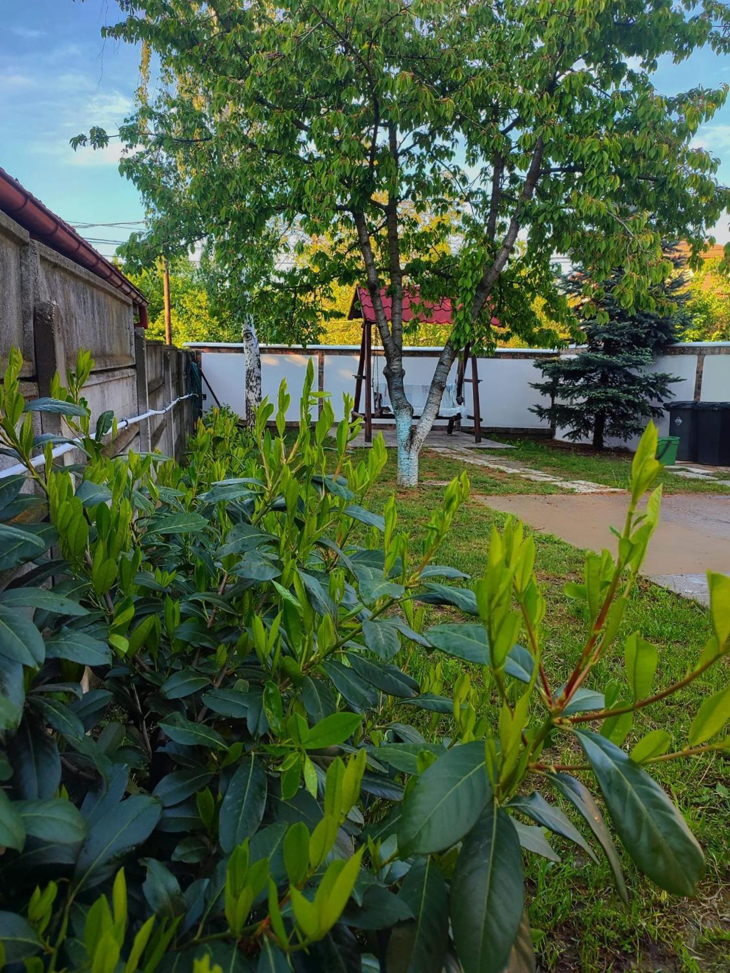 Courtyard Studio Орадя Экстерьер фото